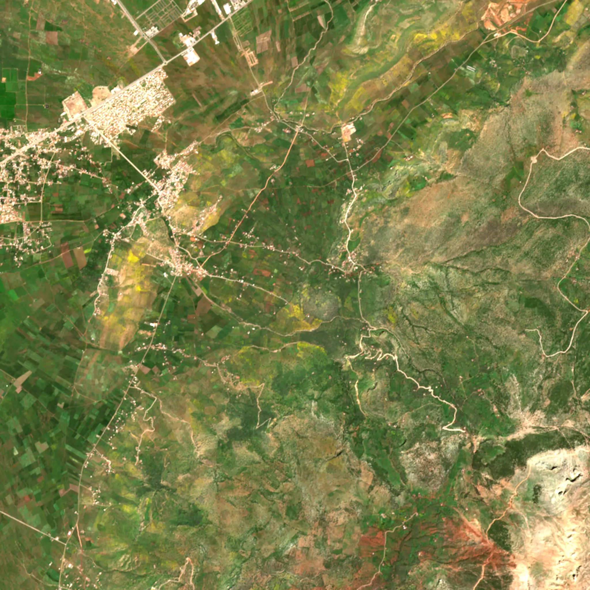 Fields on the plain and the foothills above them, seen by Sentinel-2 in April 2026.